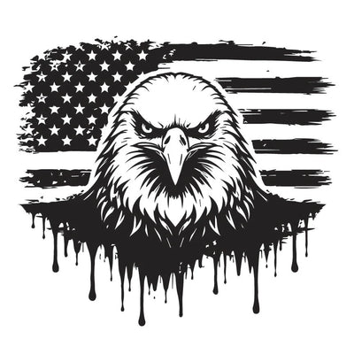 USA Flag 22
